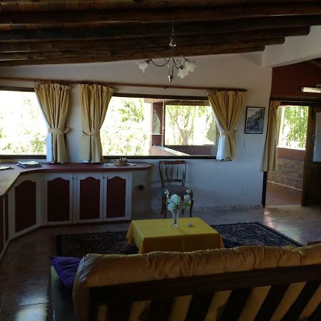Aparthotel El Aleman à Barreal Extérieur photo